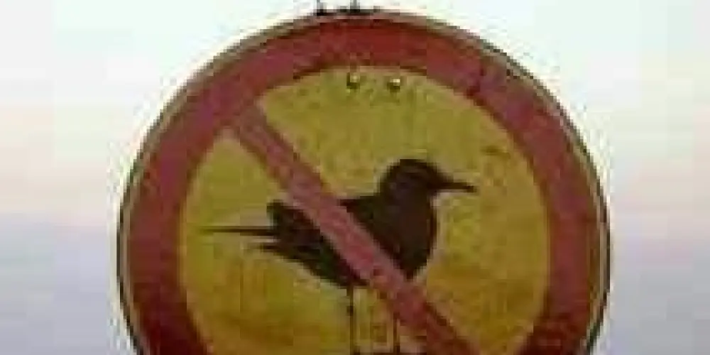 Imagem do grupo de WhatsApp Nothing