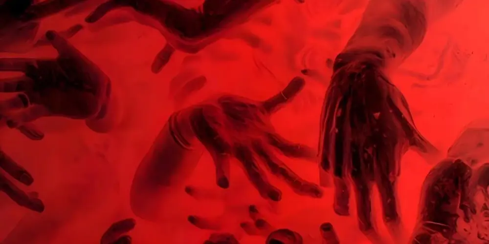 Imagem do grupo de WhatsApp NOTICIÁRIOS