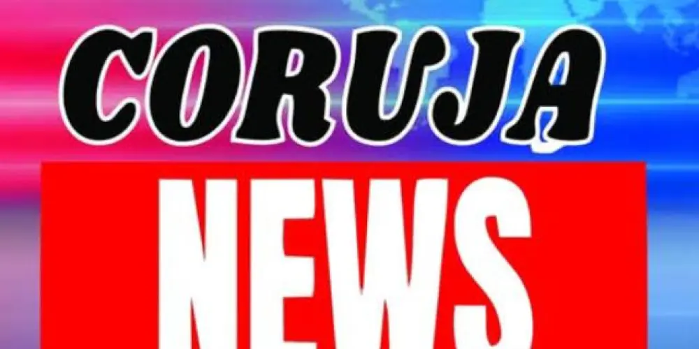 Imagem do grupo de WhatsApp Noticias do dia