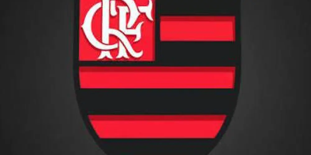 Imagem do grupo de WhatsApp Notícias do Flamengo