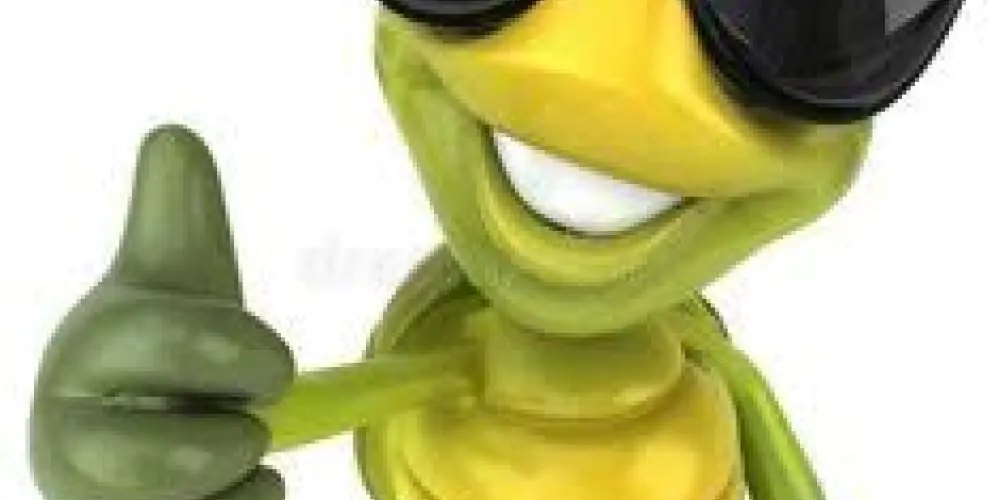 Imagem do grupo de WhatsApp Notificação sem fim