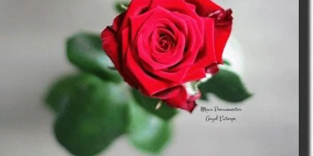 Imagem do grupo de WhatsApp Nova Geração🤝👍👍