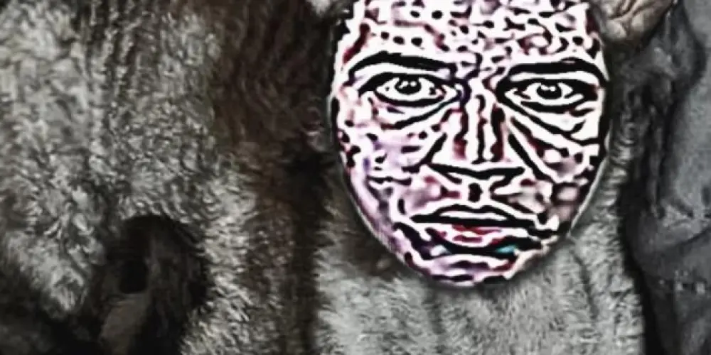 Imagem do grupo de WhatsApp NOVA ORDEM MUNDIAL 🚨