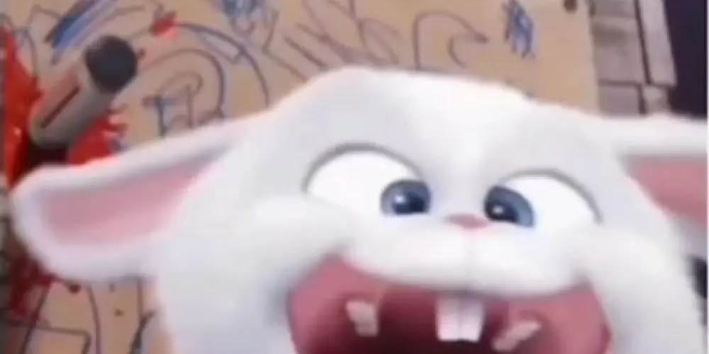 Imagem do grupo de WhatsApp novas amizades🫶🏽