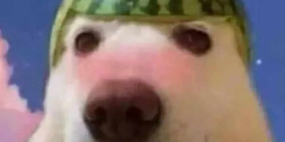 Imagem do grupo de WhatsApp 👻Novas amizades👻