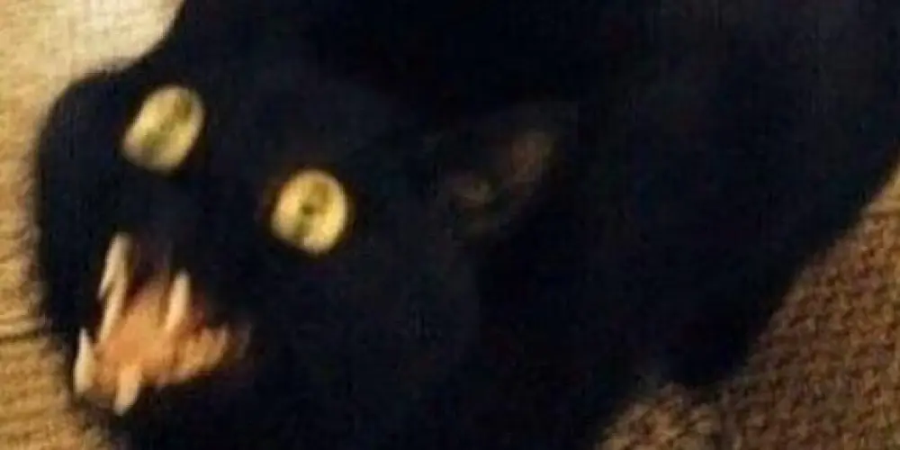 Imagem do grupo de WhatsApp Novas amizades ❤🙄💅