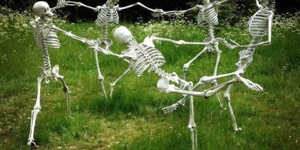 Imagem do grupo de WhatsApp Novas amizades