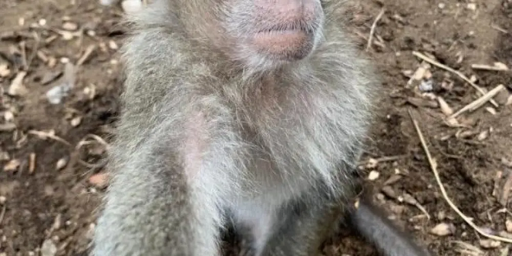 Imagem do grupo de WhatsApp Novas amizades 🤓☝🏻