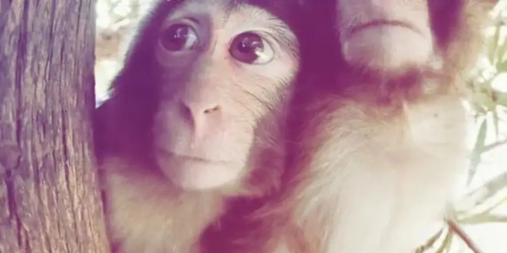 Imagem do grupo de WhatsApp Novas amizades 💚