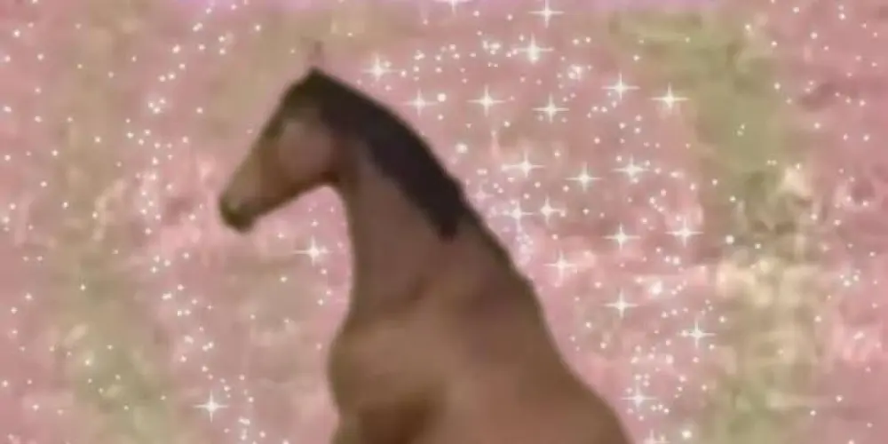 Imagem do grupo de WhatsApp Novas amizades🥳