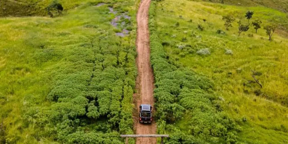 Imagem do grupo de WhatsApp Novas amizades