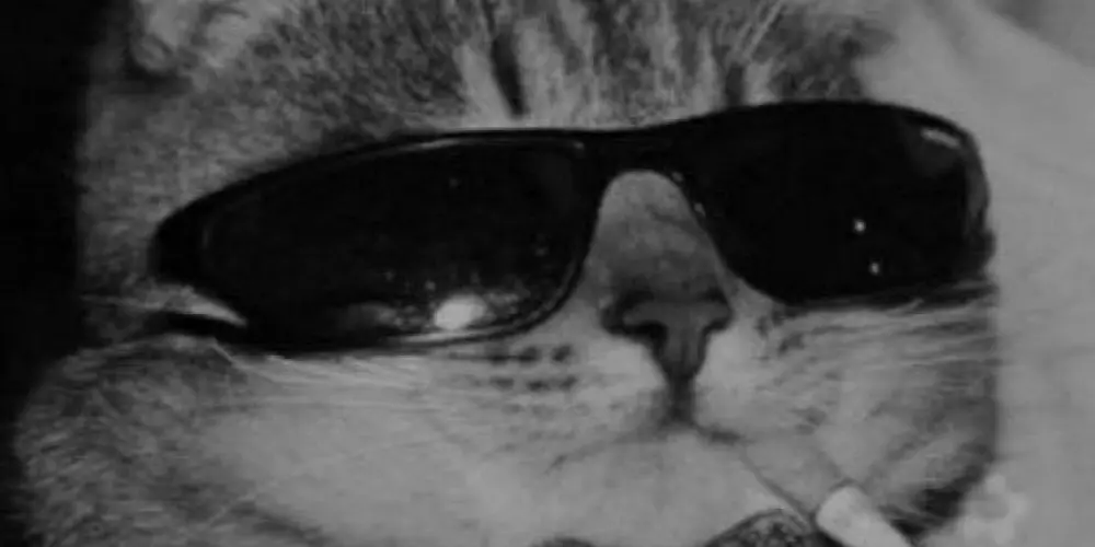 Imagem do grupo de WhatsApp NOVAS AMIZADES🌻🥀