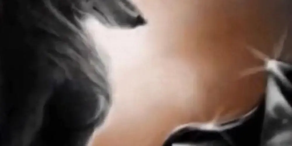 Imagem do grupo de WhatsApp Novas amizades 🌷