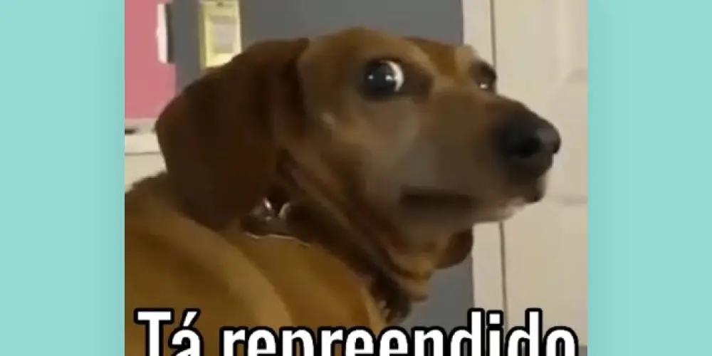 Imagem do grupo de WhatsApp Novas amizades 💞🫶🏻