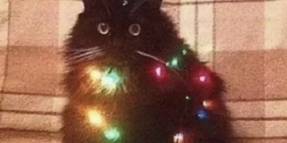 Imagem do grupo de WhatsApp Novos amigos?