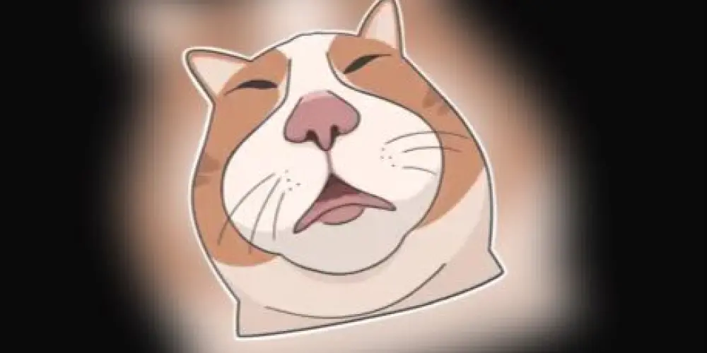 Imagem do grupo de WhatsApp Novos Amigos 🔥