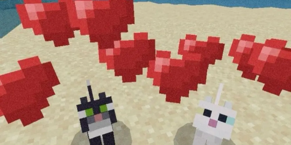 Imagem do grupo de WhatsApp Novos amigos