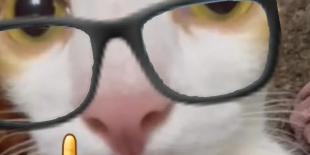 Imagem do grupo de WhatsApp Nozzxitos