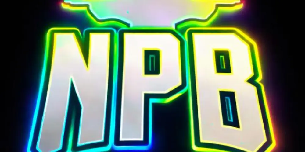 Imagem do grupo de WhatsApp 🔫 [ NPB ROLEPLAY ] OFC