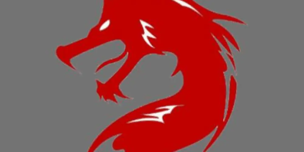 Imagem do grupo de WhatsApp NS GRING XIT