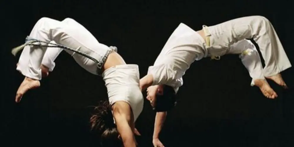 Imagem do grupo de WhatsApp Nunca foi Golpe