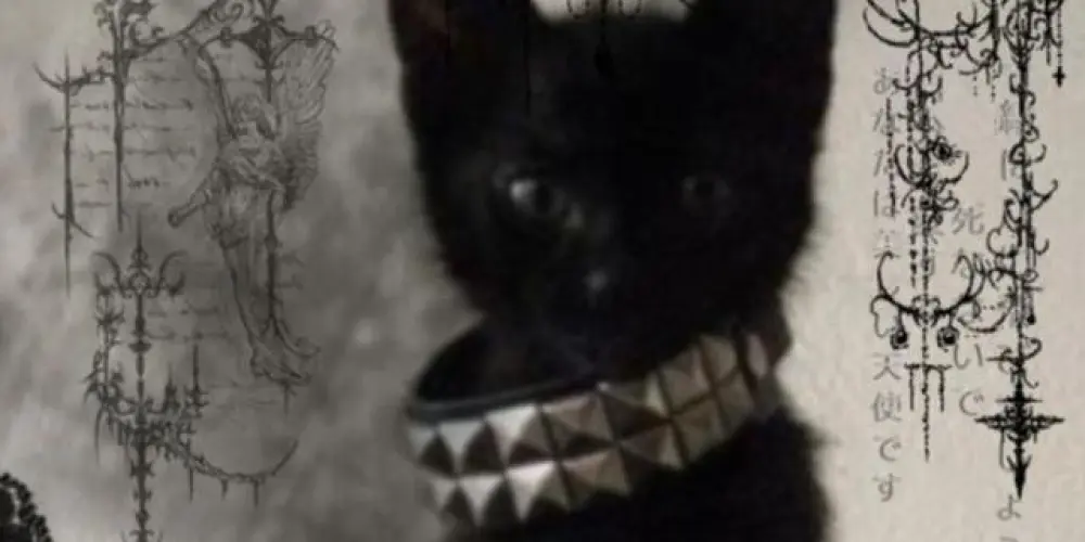 Imagem do grupo de WhatsApp ✧N∅VA EЯA✧(Sem Lei)