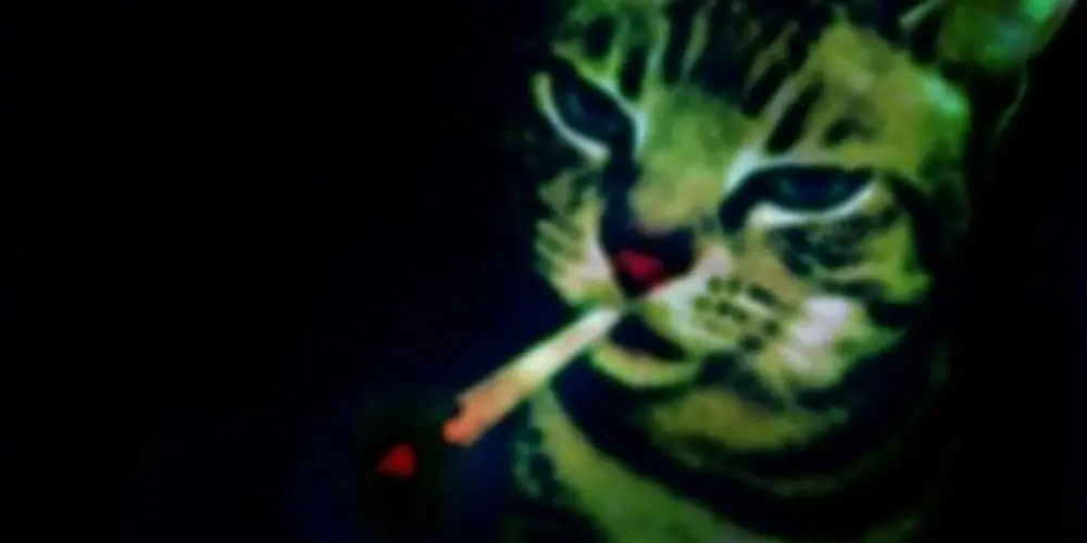 Imagem do grupo de WhatsApp ✧N∅VA EЯA✧(Sem Lei)