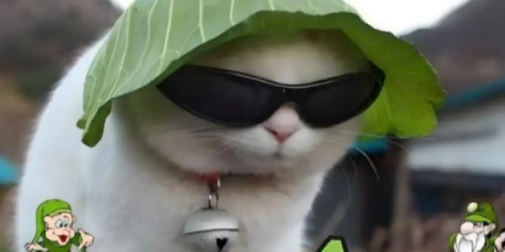 Imagem do grupo de WhatsApp 🍄 𝐌𝐀𝐍𝐈𝐂Ô𝐌𝐈𝐎 ²⁴ʜ ᵒⁿ