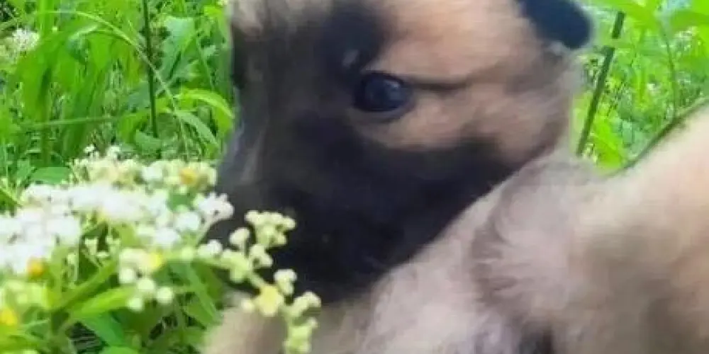 Imagem do grupo de WhatsApp 𝑆ó 𝑂𝑠 𝐿𝑜𝑢𝑐𝑜𝑠 𝑆𝑎𝑏𝑒𝑚