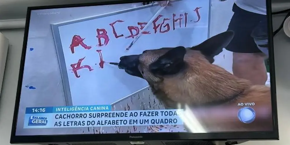 Imagem do grupo de WhatsApp 𝚜ó 𝚛𝚎𝚐𝚛𝚎𝚜𝚜𝚘 🙌