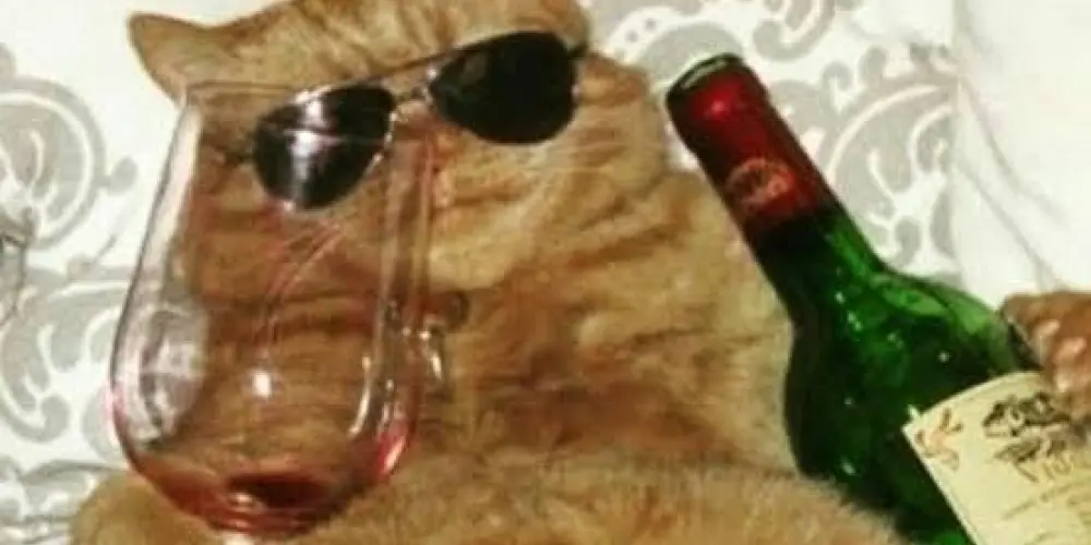 Imagem do grupo de WhatsApp 🅐🅛🅔🅐🅣ó🅡🅘🅞🅢