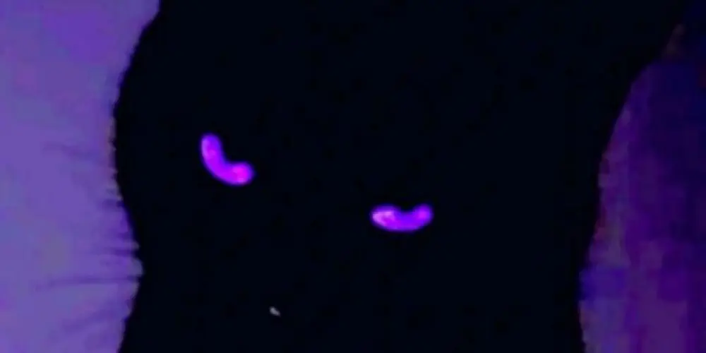 Imagem do grupo de WhatsApp ⧫ 𝔄𝔩𝔢𝔞𝔱ó𝔯𝔦𝔞 + 𝔇𝔦𝔳𝔢𝔯𝔱𝔦𝔡𝔞 ⧫