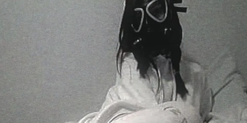 Imagem do grupo de WhatsApp 💀⛓️⛧ 𝙈𝘼𝙉𝙄𝘾Ô𝙈𝙄𝙊 ⛧⛓️💀