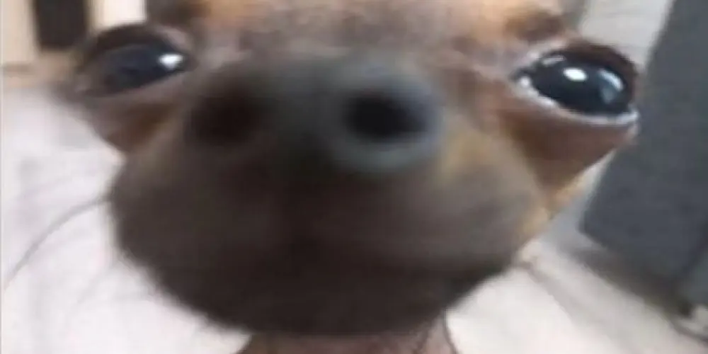 Imagem do grupo de WhatsApp ♠𝗠۵𝗻𝗶𝗰ô𝗺𝗶𝗼࿐