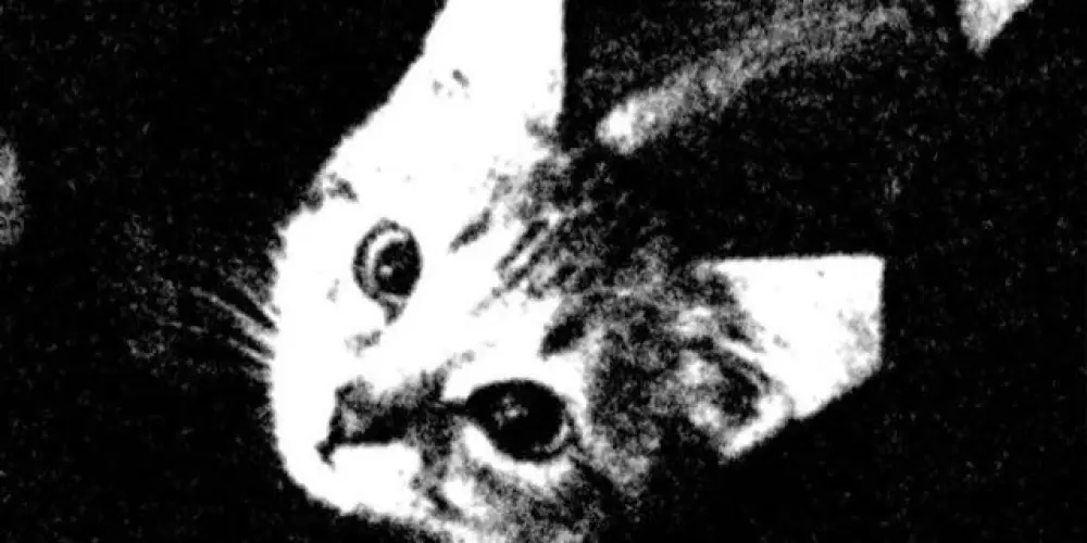 Imagem do grupo de WhatsApp ᐯ O Ꭵ ᗪ †