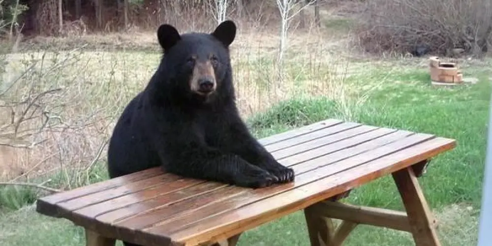 Imagem do grupo de WhatsApp 🏥𝕄𝕒𝕟𝕚𝕔ô𝕞𝕚𝕠☣