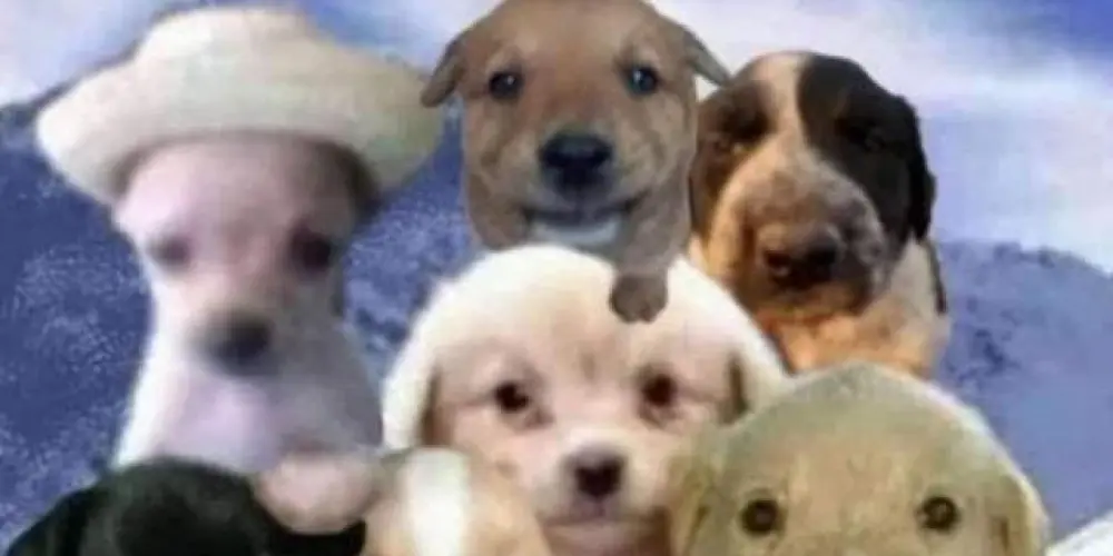 Imagem do grupo de WhatsApp ᴄᴀᴏꜱ ᴄᴀóᴛɪᴄᴏ