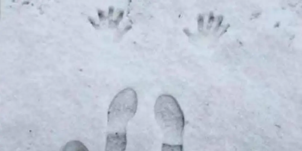 Imagem do grupo de WhatsApp O Alibe 🥵