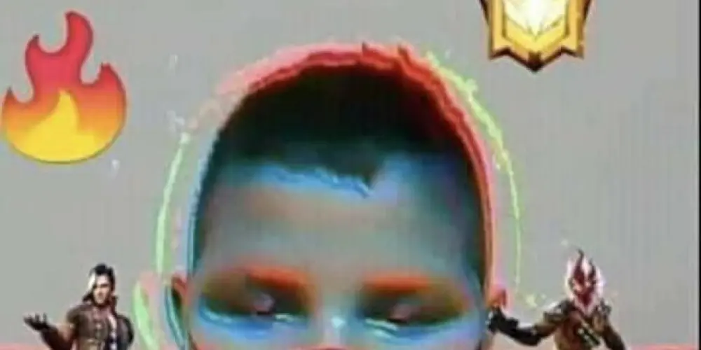 Imagem do grupo de WhatsApp o bonde do fri fai