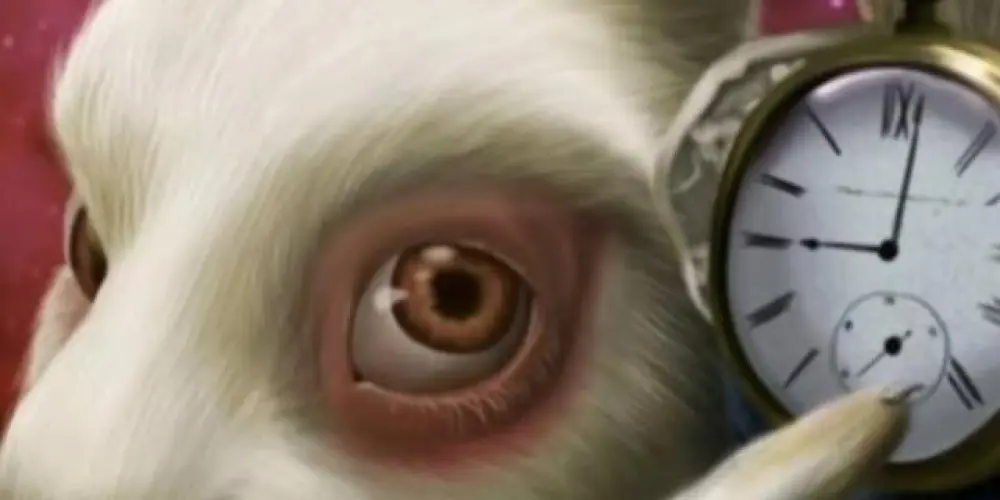 Imagem do grupo de WhatsApp O conselho