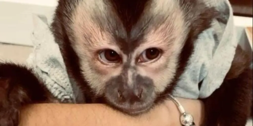 Imagem do grupo de WhatsApp O grupo mais mais😘✨️