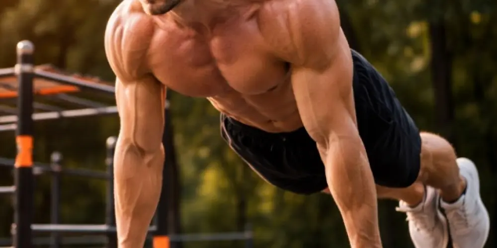 Imagem do grupo de WhatsApp O GUIA DO CALISTÊNICO 💪