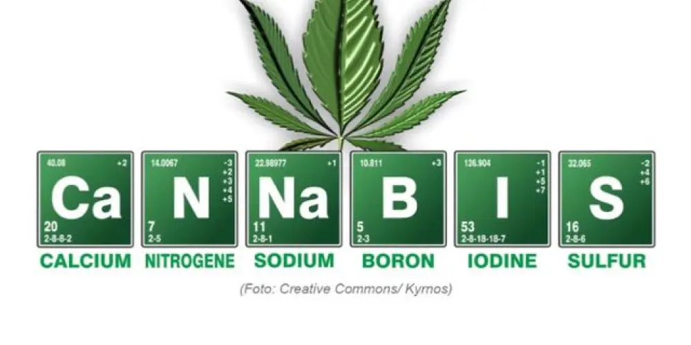 Imagem do grupo de WhatsApp O mega plano cannabis 🔥🚀