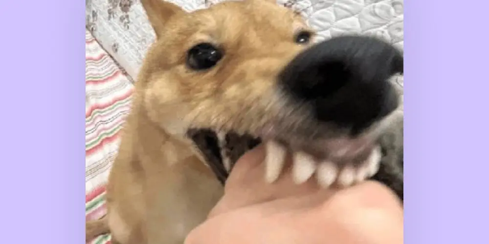 Imagem do grupo de WhatsApp O mundo é nosso!