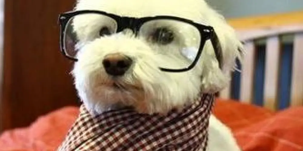 Imagem do grupo de WhatsApp O mundo perdido 💀