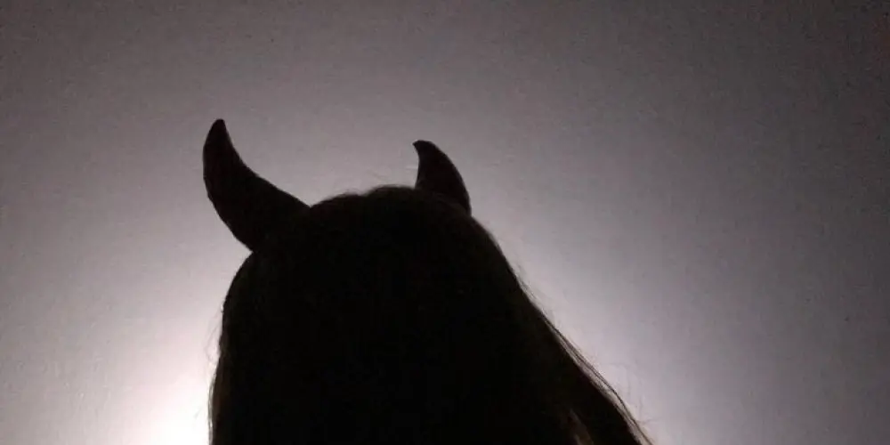 Imagem do grupo de WhatsApp O PORTAL 2.0