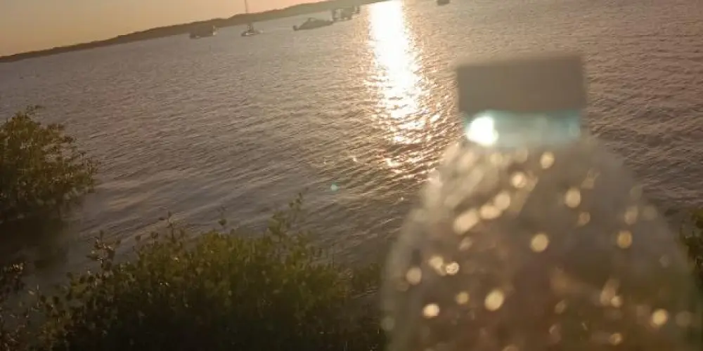 Imagem do grupo de WhatsApp O quarteto🌹❤️😎🥰