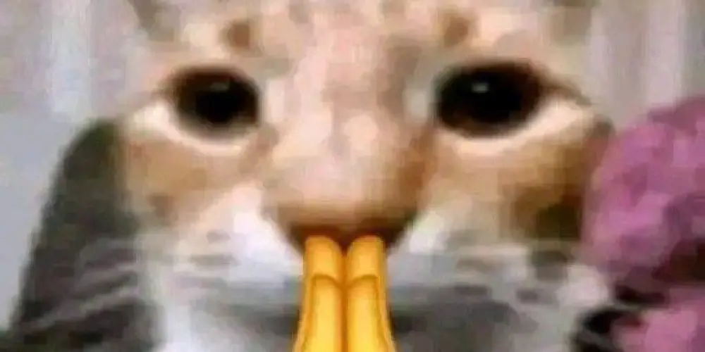 Imagem do grupo de WhatsApp O trio infernal