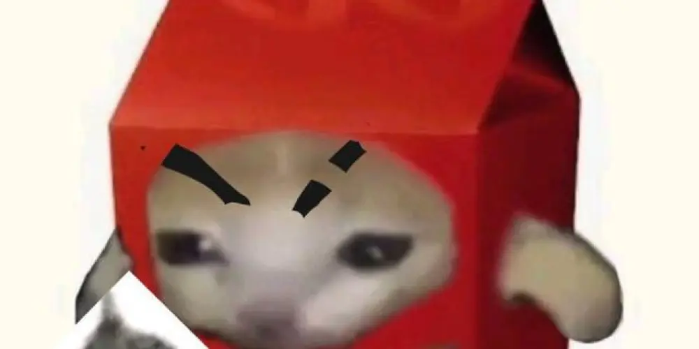 Imagem do grupo de WhatsApp 𝝩ο𝘋ا𝛮𐋏ο