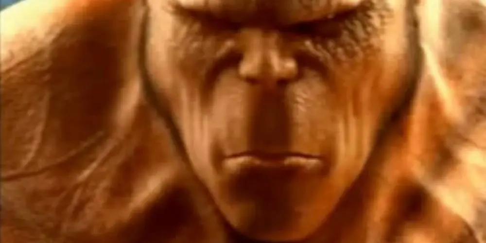 Imagem do grupo de WhatsApp observando